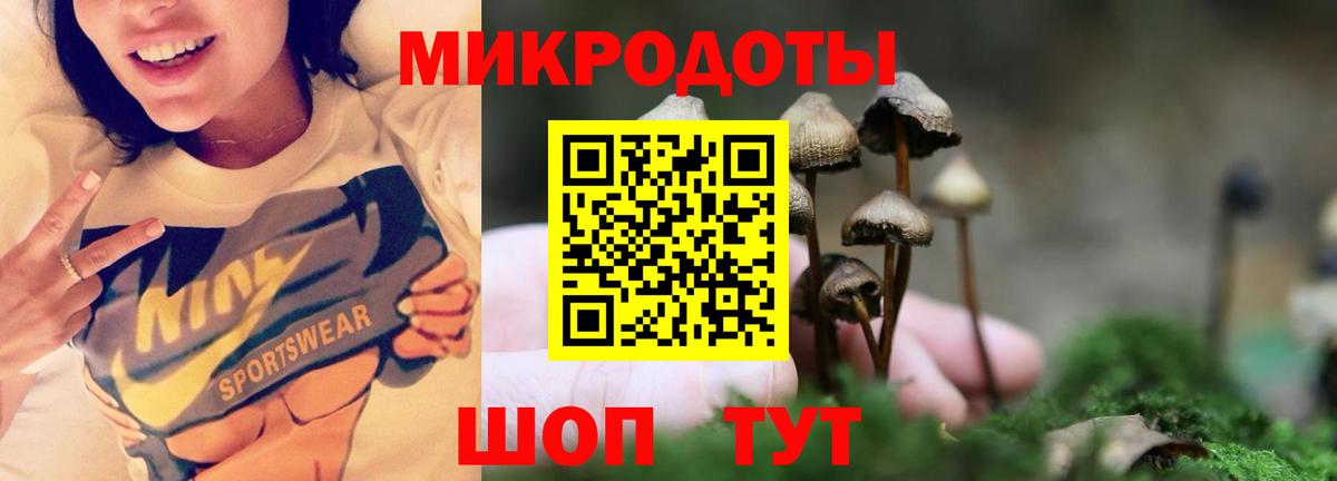 Псилоцибиновые грибы Cubensis  Вход с VPN  Ступино 